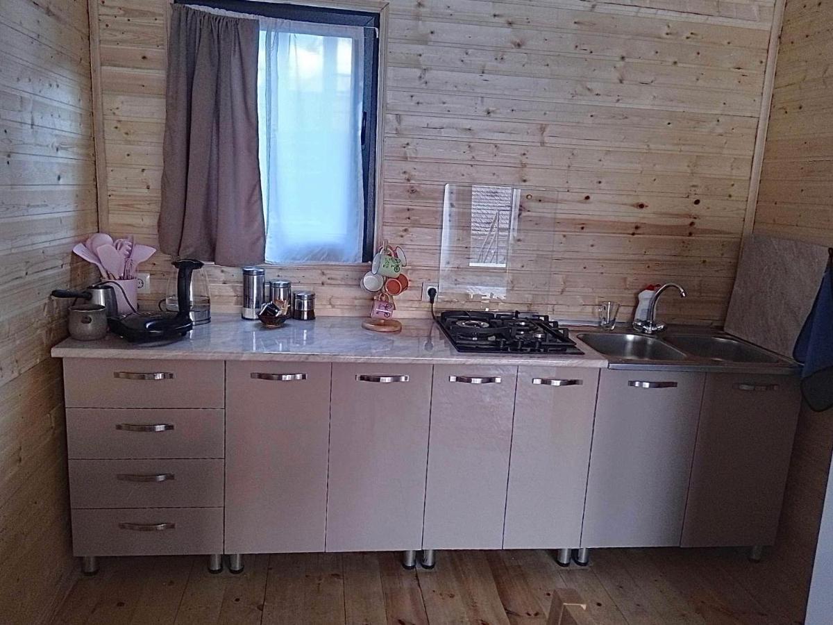 Twin Cottages Kazbegi 외부 사진